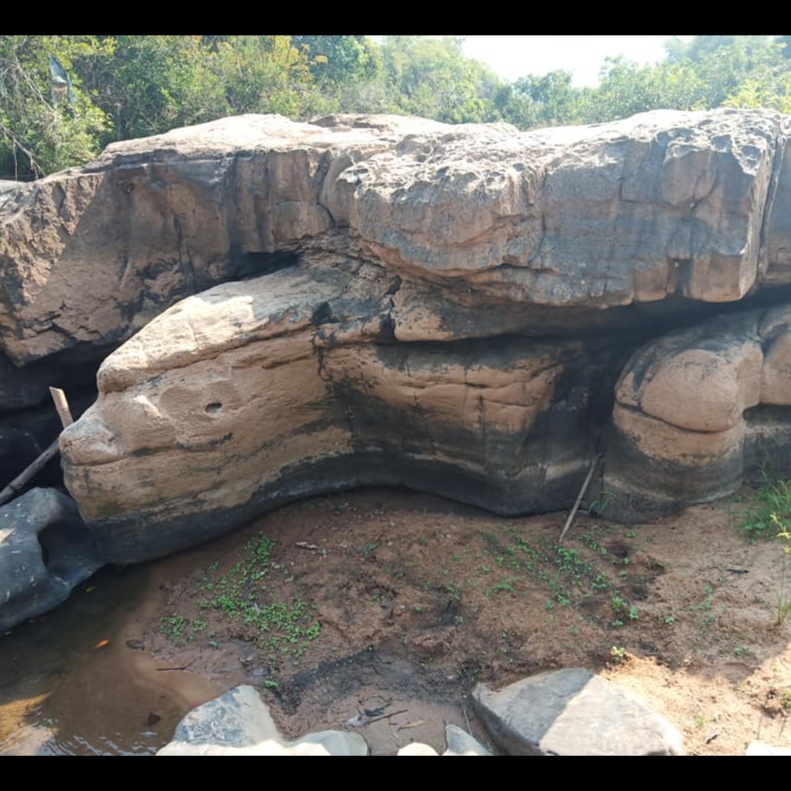 Image for พญาเต่าเข็กน้อย