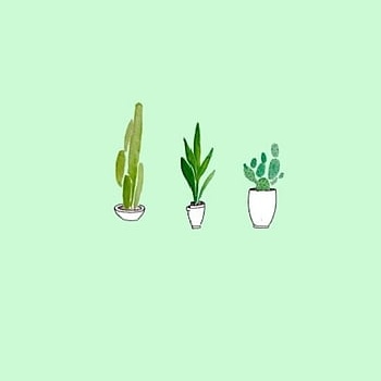 Image for Best of atome eve