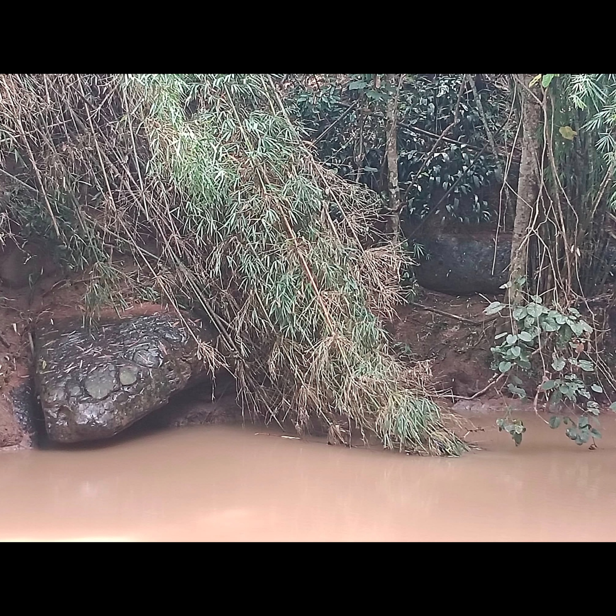 Image for เพลง "พญานาค ลำน้ำเข็กน้อย"