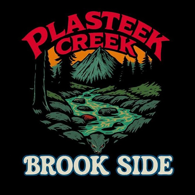 Image for Plaster Creek Brook Side 