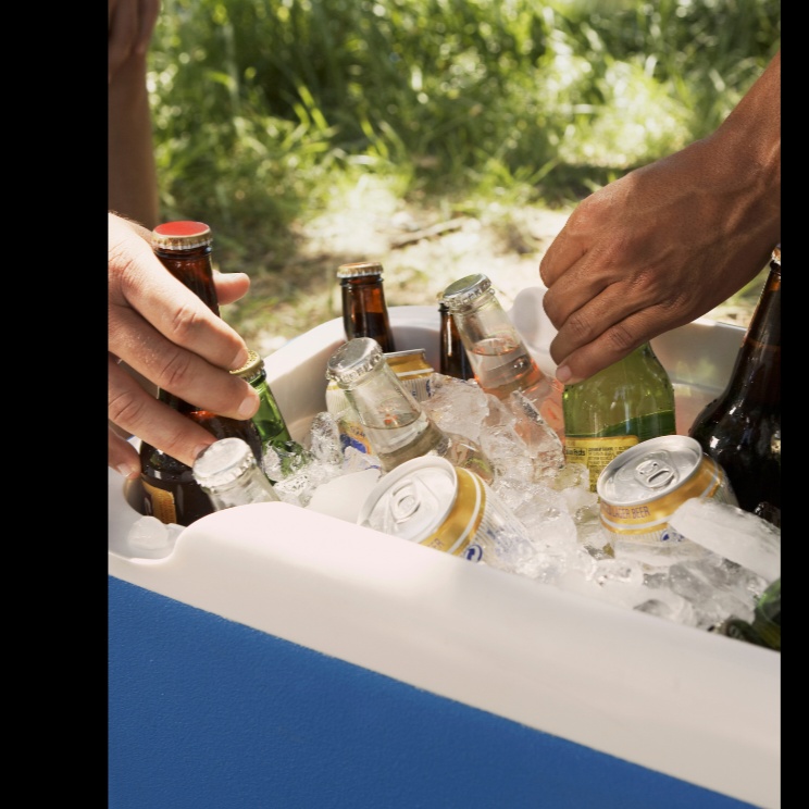 Family Reunion artwork