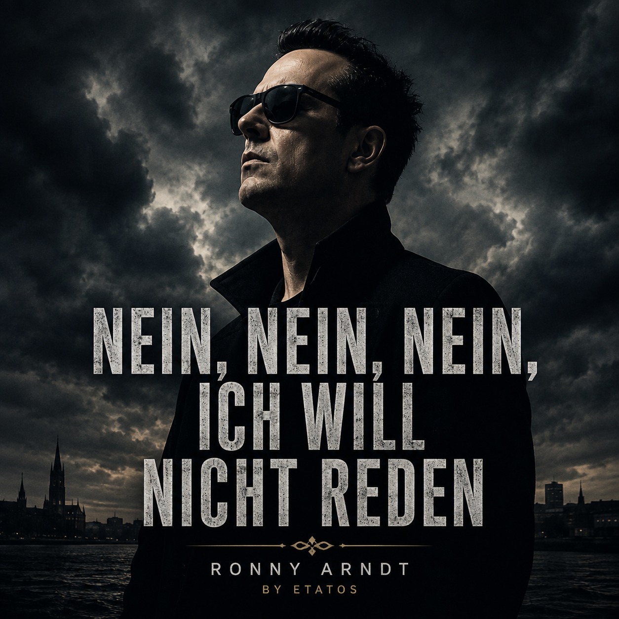 NEIN, NEIN, NEIN, ICH WILL NICHT REDEN artwork