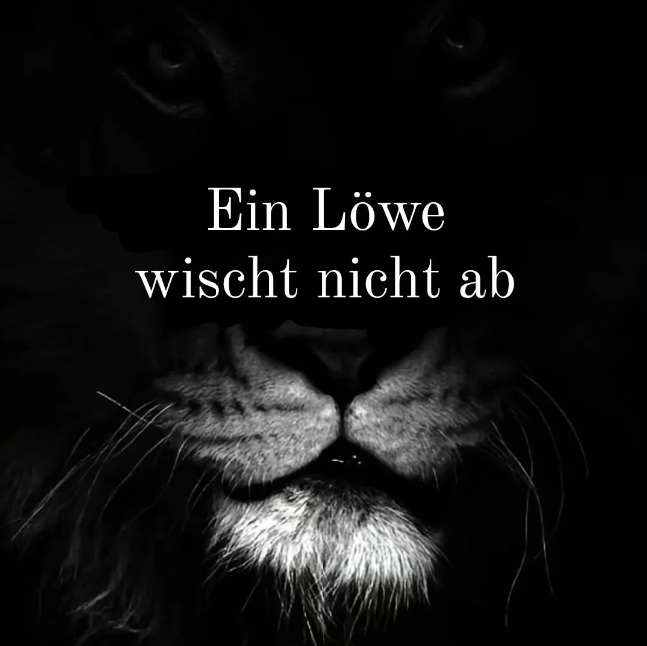 Image for Ein Löwe wischt nicht ab