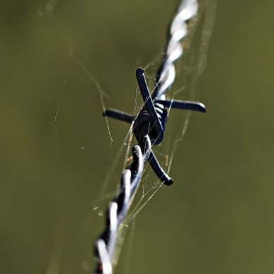 Image for 𝓔𝓵𝓮𝓶𝓮𝓷𝓽𝓼