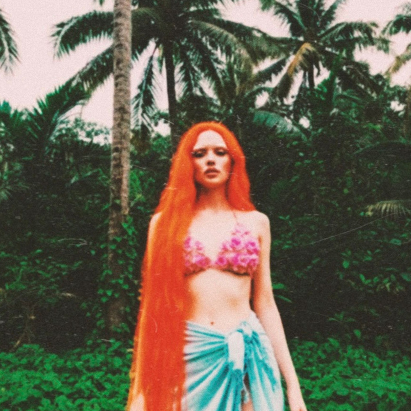 Image for PALM TREES 