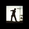 Workman Swing