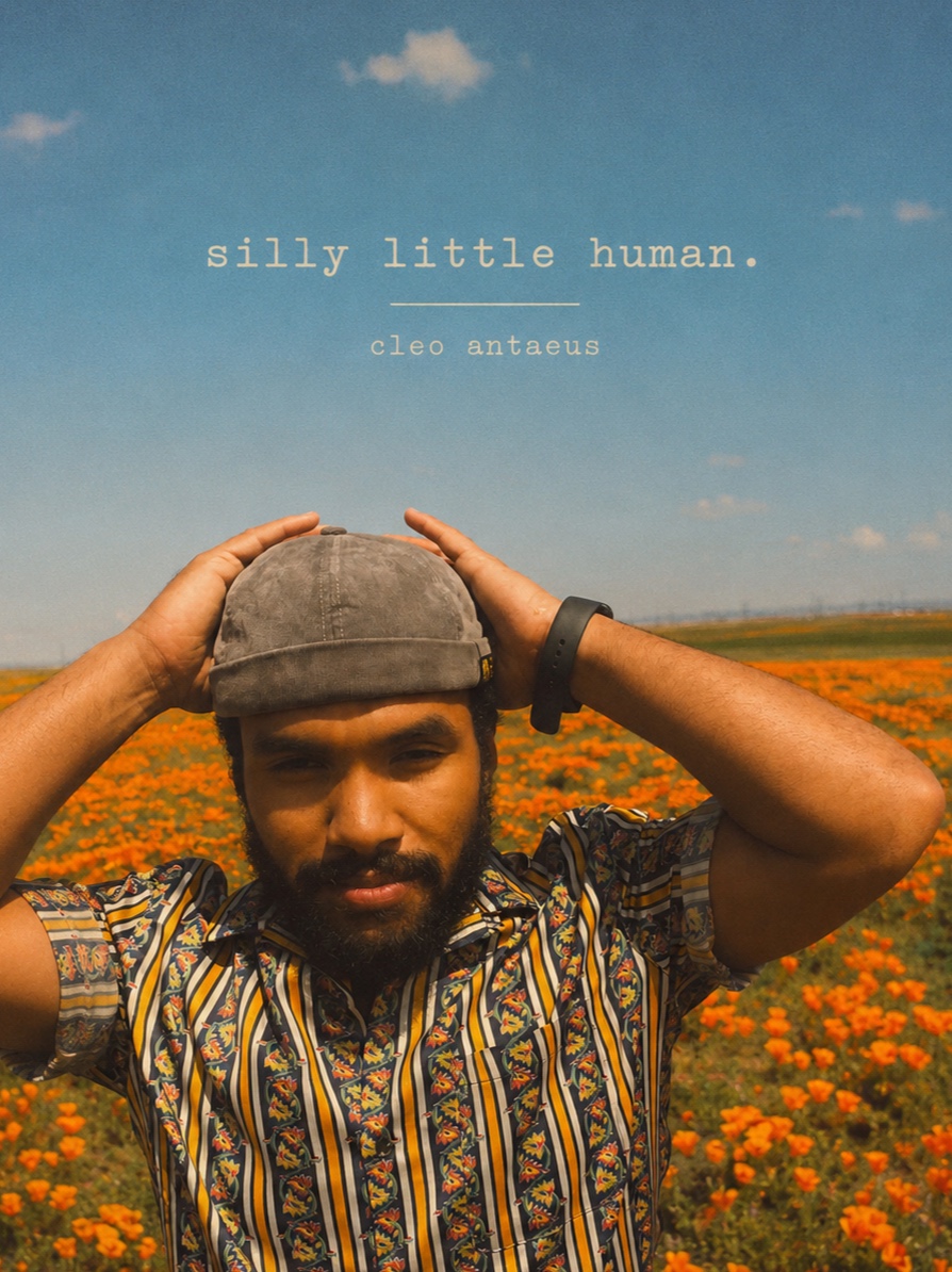 silly little human. artwork