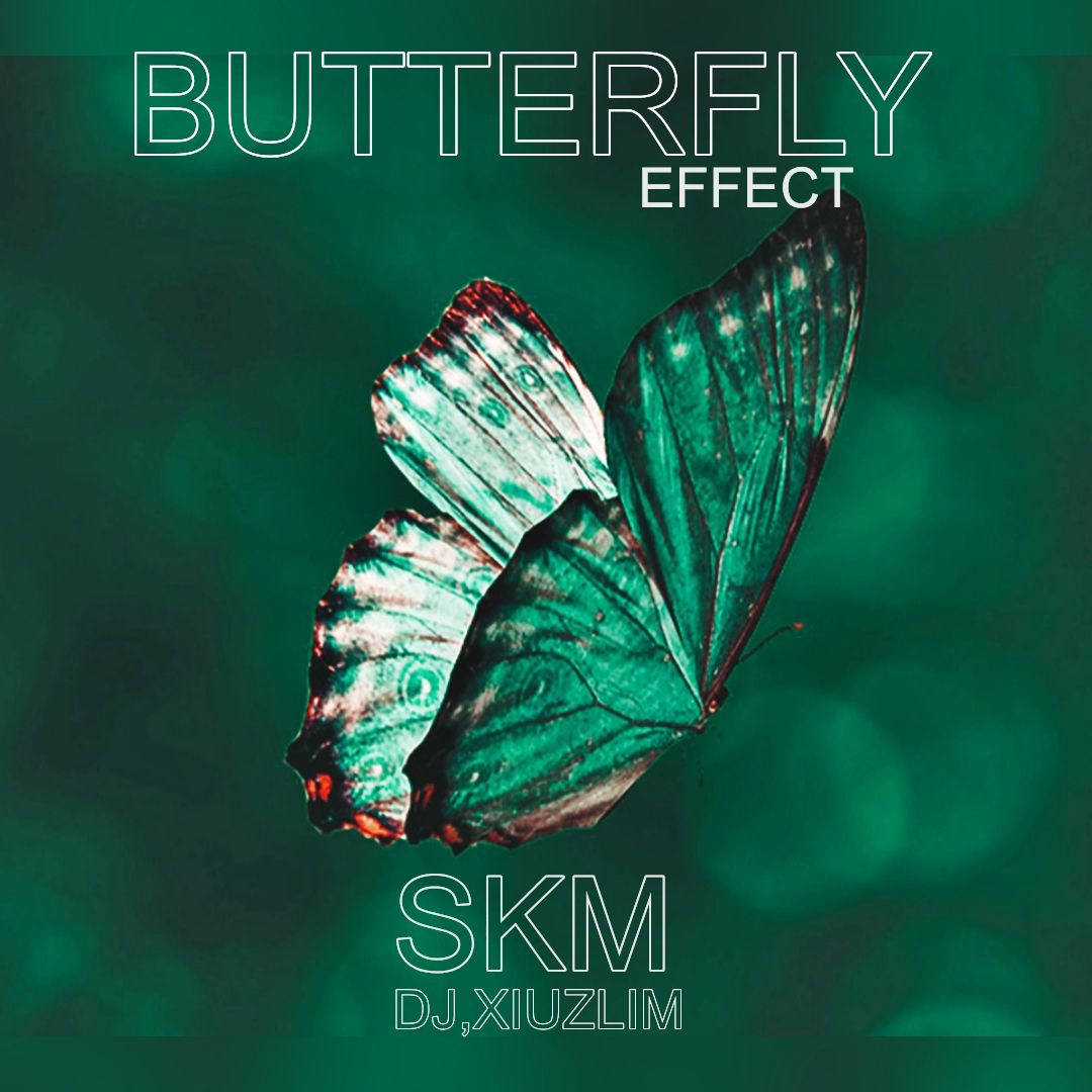 butterfly effect-Dj,Xiuzlim /SKM  (Remix) artwork