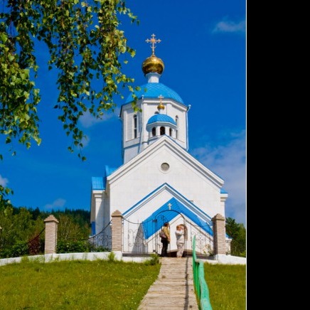 Озимь artwork