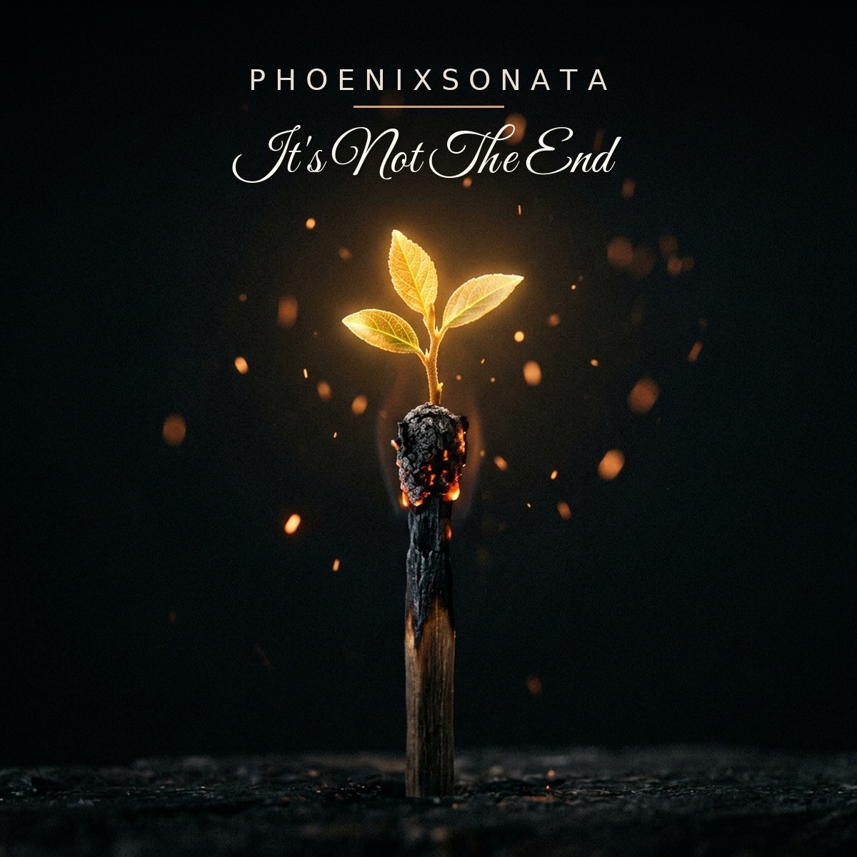 Phoenixsonata - It's Not the End artwork