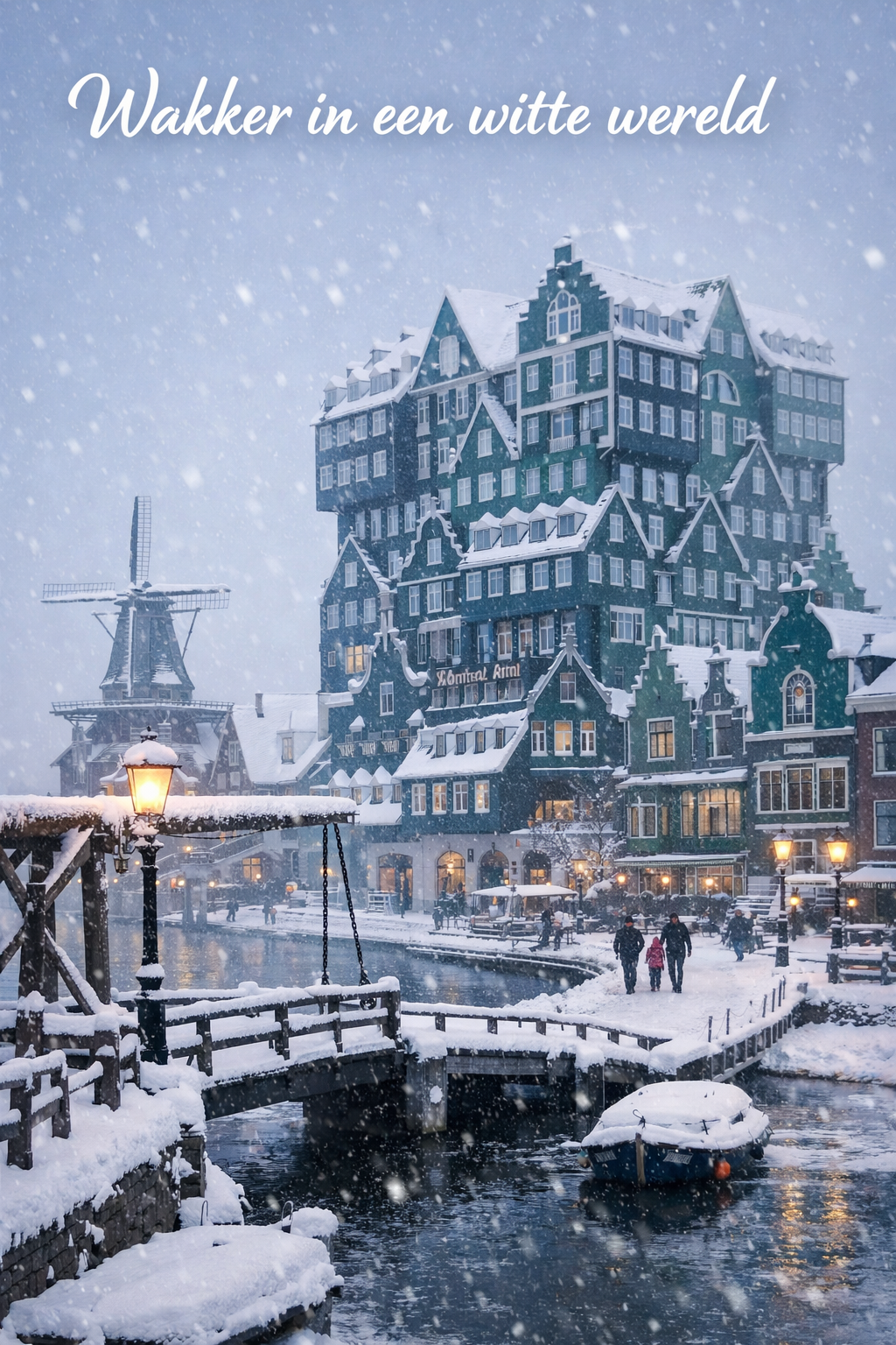 Wakker in een witte wereld artwork