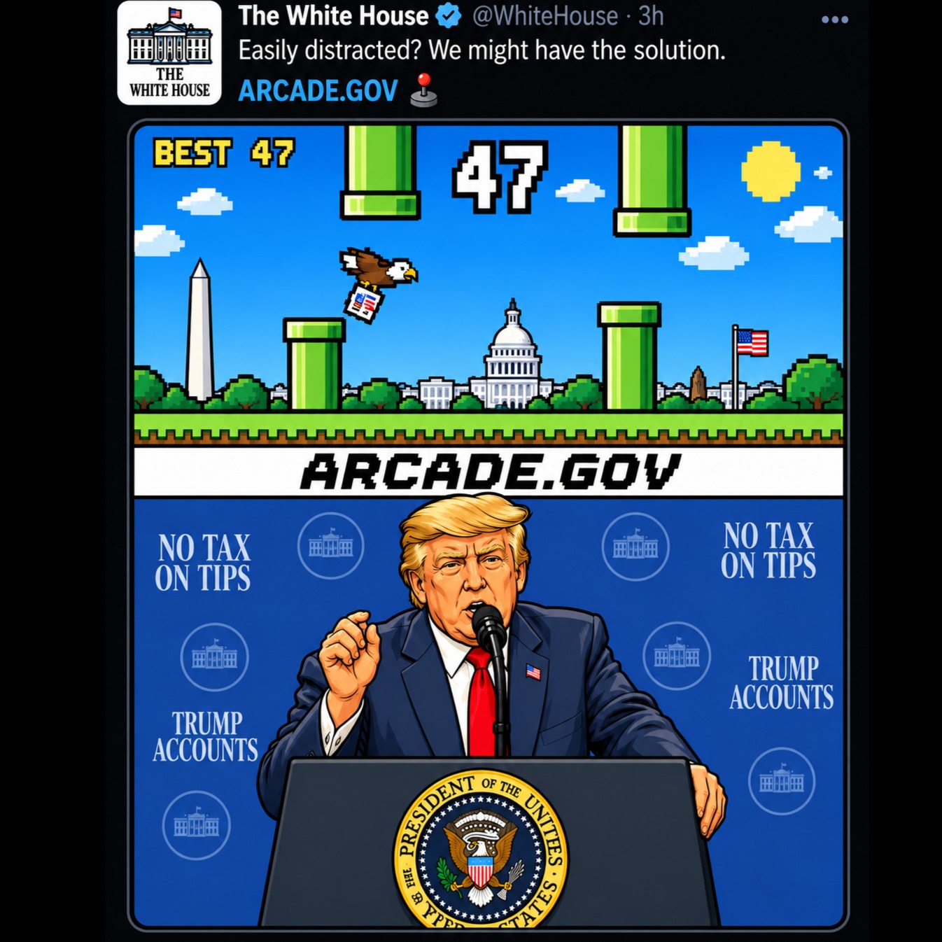 THE ARCADE.GOV artwork