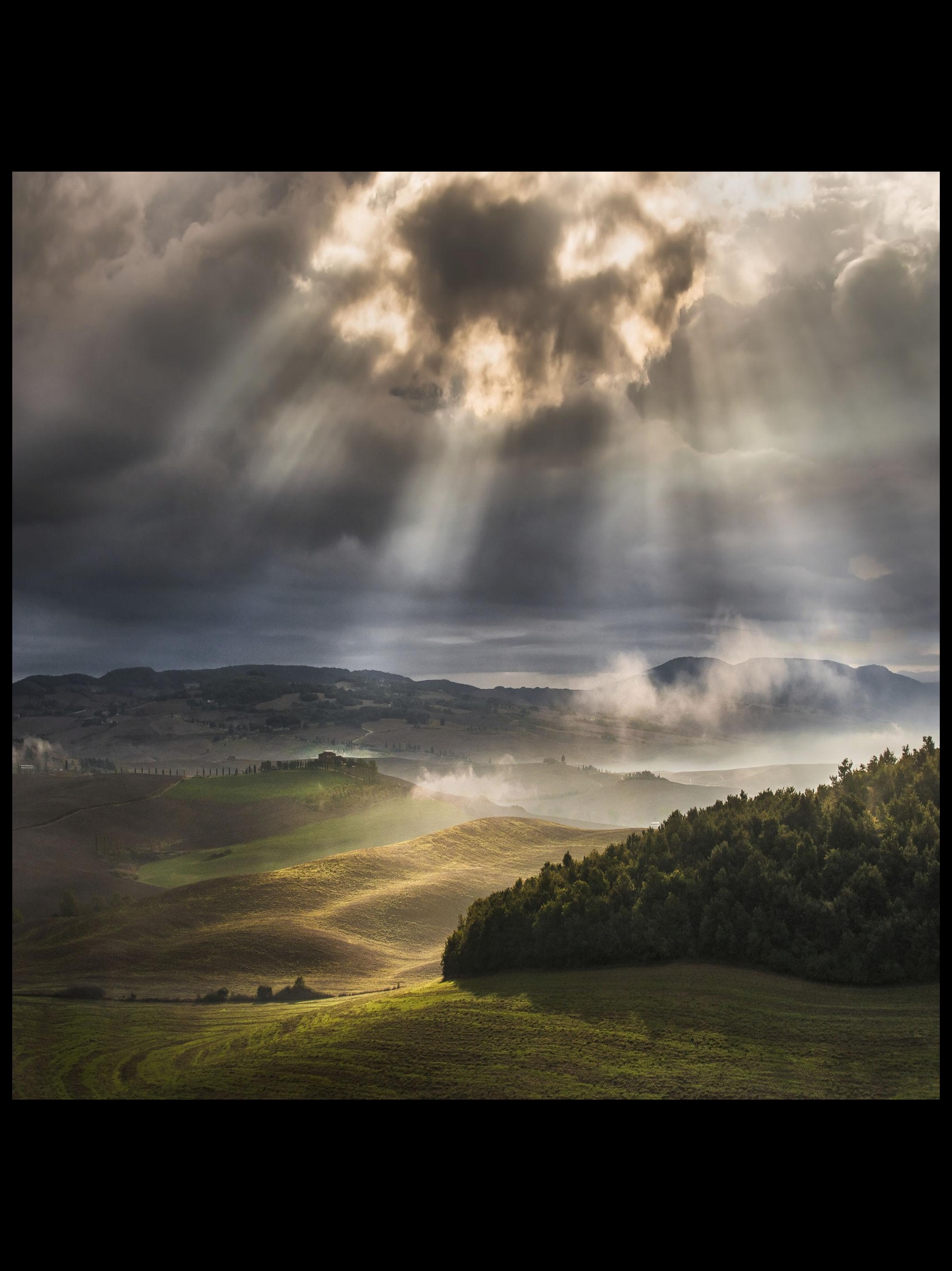 Bring the Morning artwork