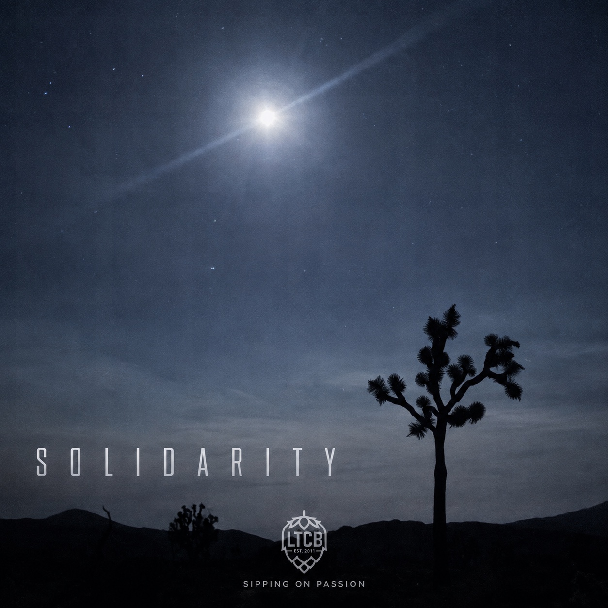 SOLIDARITY artwork