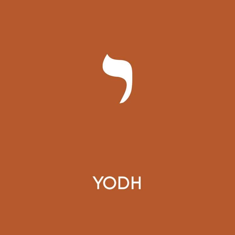 Yodh | Psalm 119:73–80 artwork