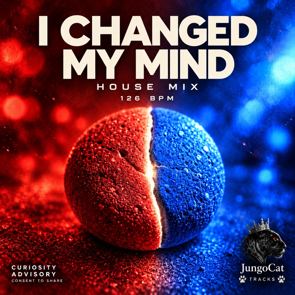 I CHANGED MY MIND artwork