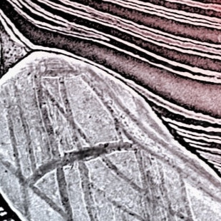 Fallen Star (Aug 24 @ 9:25 PM) artwork