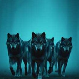 Image for Wolf songs 