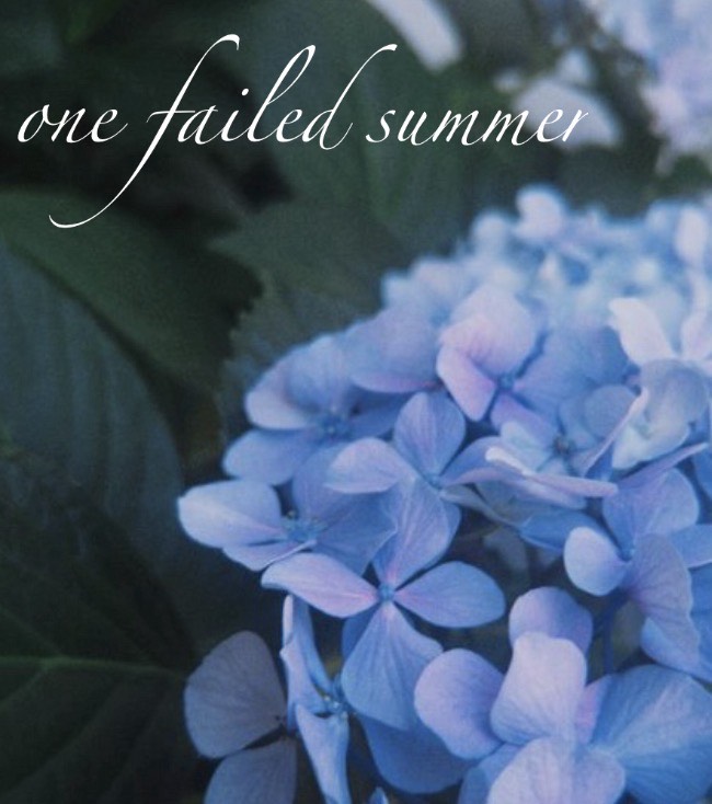Image for one failed summer