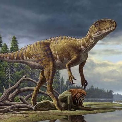 Persona image for Kitadani