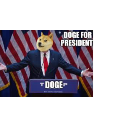 D-O-G-E artwork