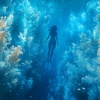 Below the Azure Veil