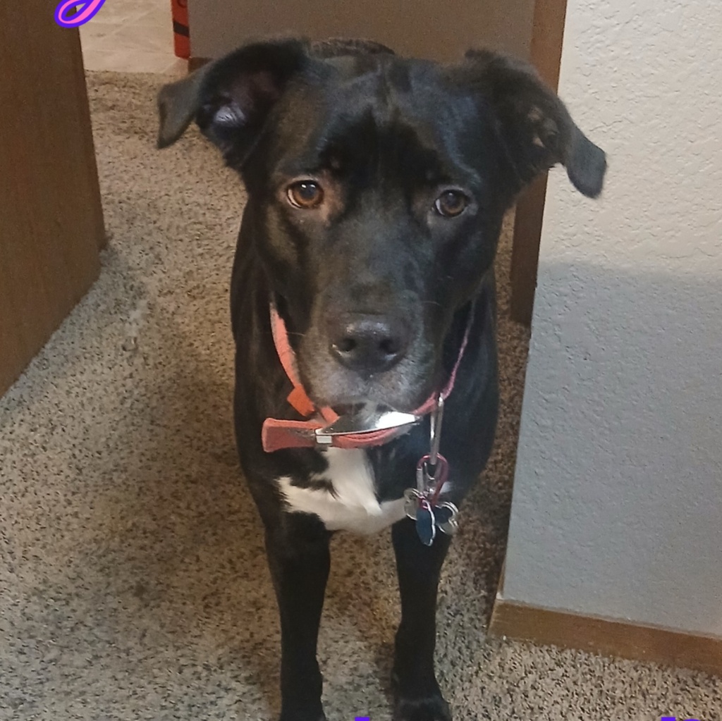 Image for Queen Makwa