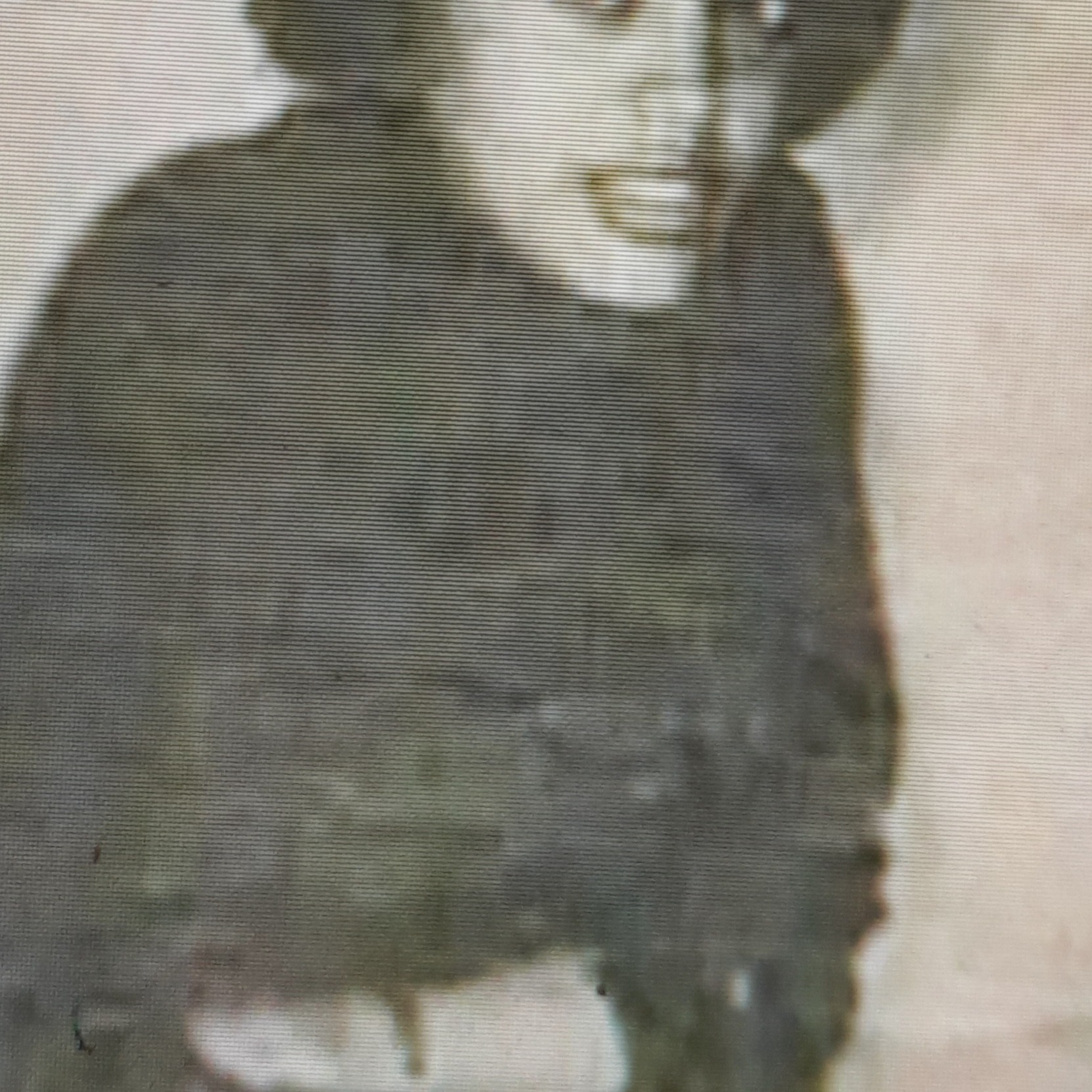 አንቺን አገኘሁኝ artwork