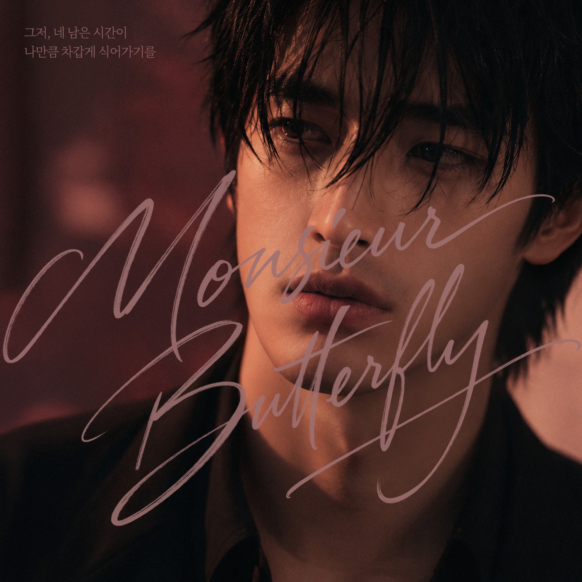 Monsieur Butterfly artwork