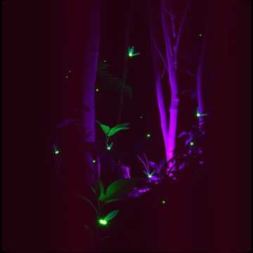 Image for ANOTHER DAY IN PARADISE