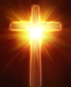 Image for Die Wahrheit und das Licht.