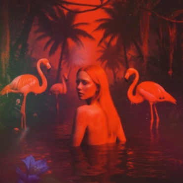Image for BLOOD SOAKED FLAMINGOS