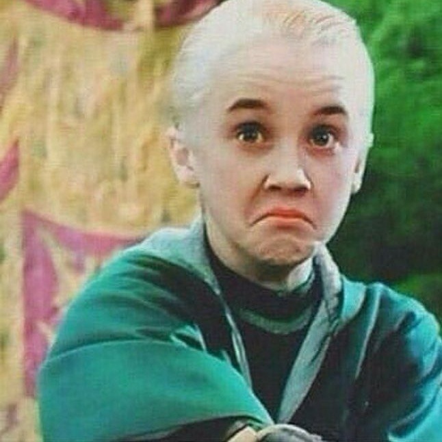 Image for Hairy Pooter