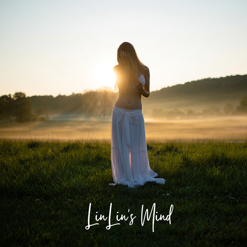 Image for LinLin's Mind EP