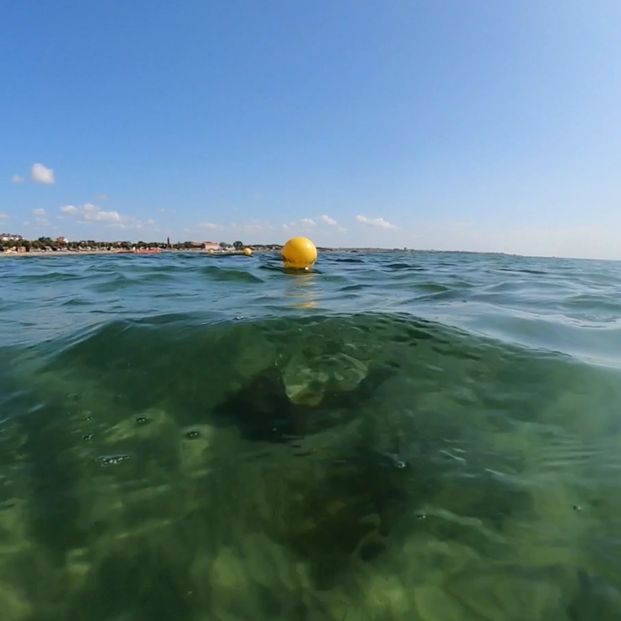 Image for Enjoy aqua life