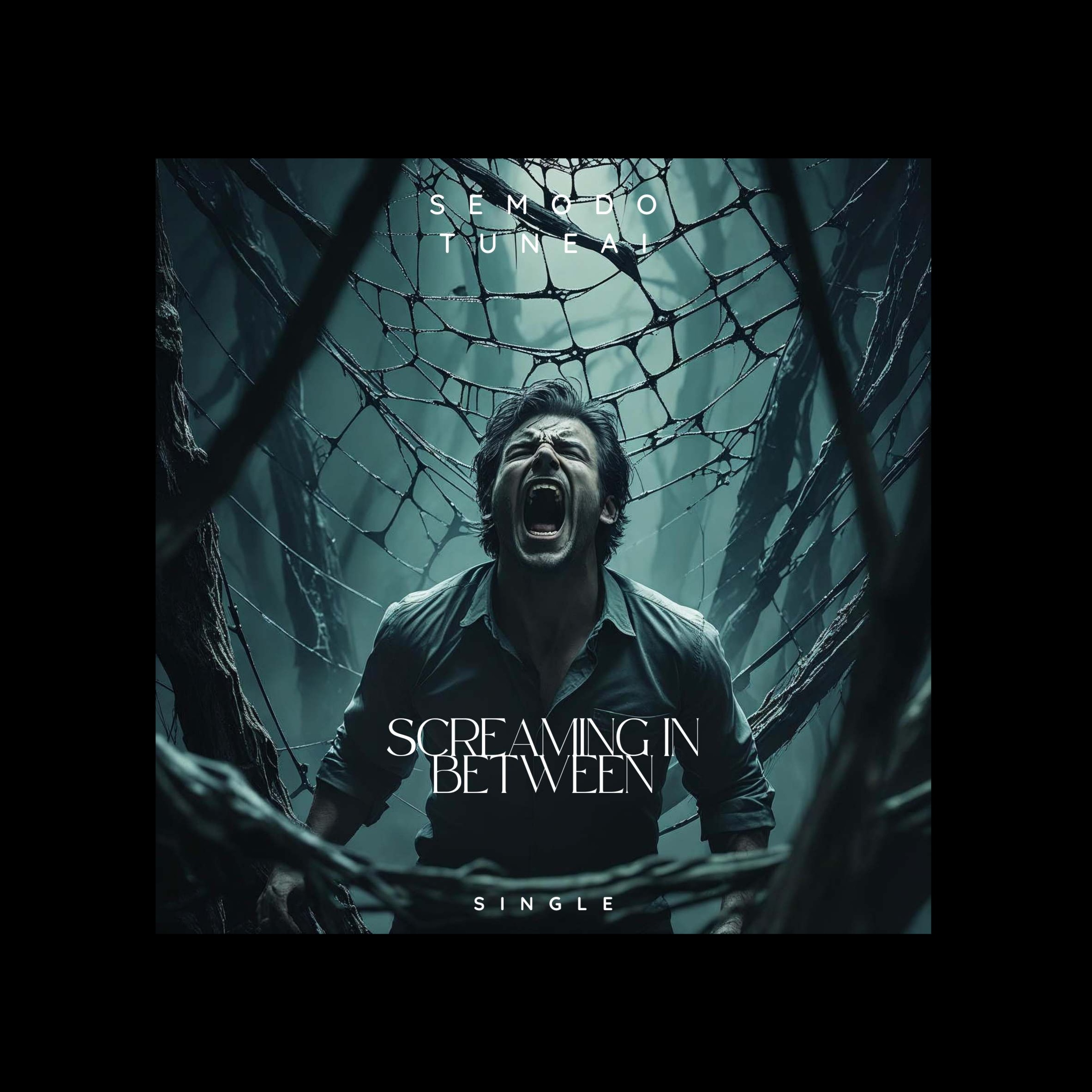 Song Cover Image