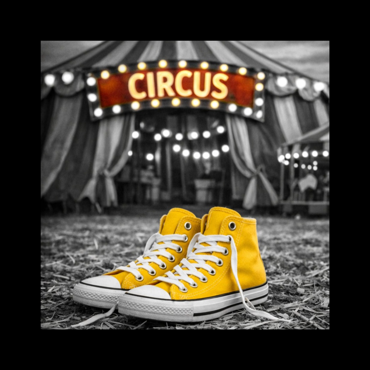 Circus