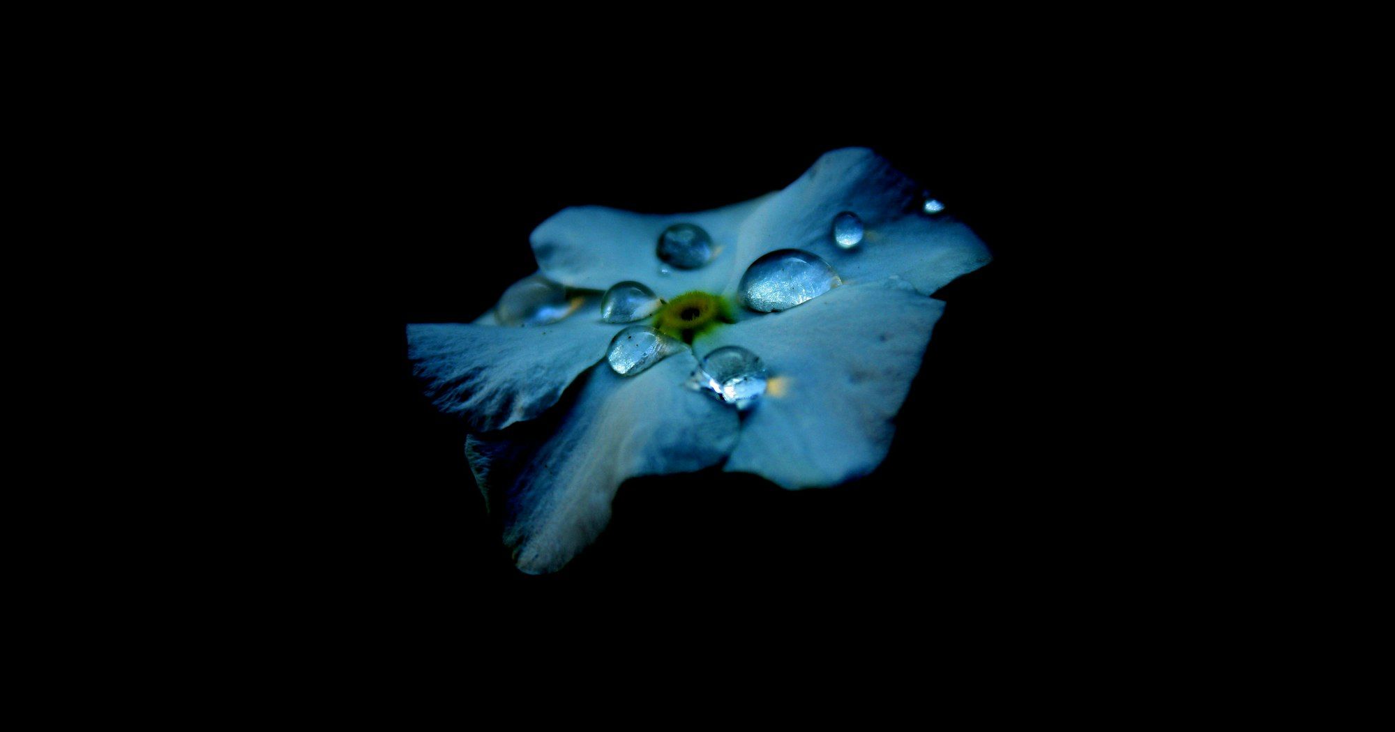 Still grieving artwork