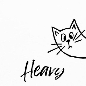 Image for Heavy