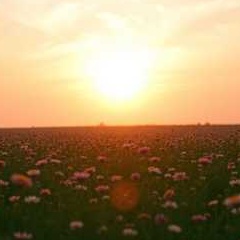 Image for Пісні на слова Богдана Лепкого