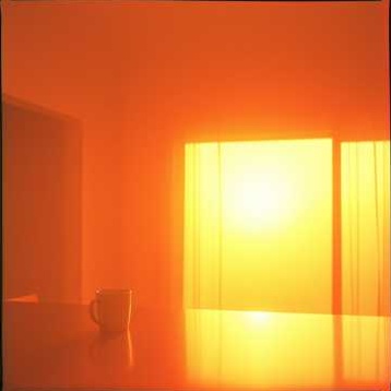 Image for In the Feels