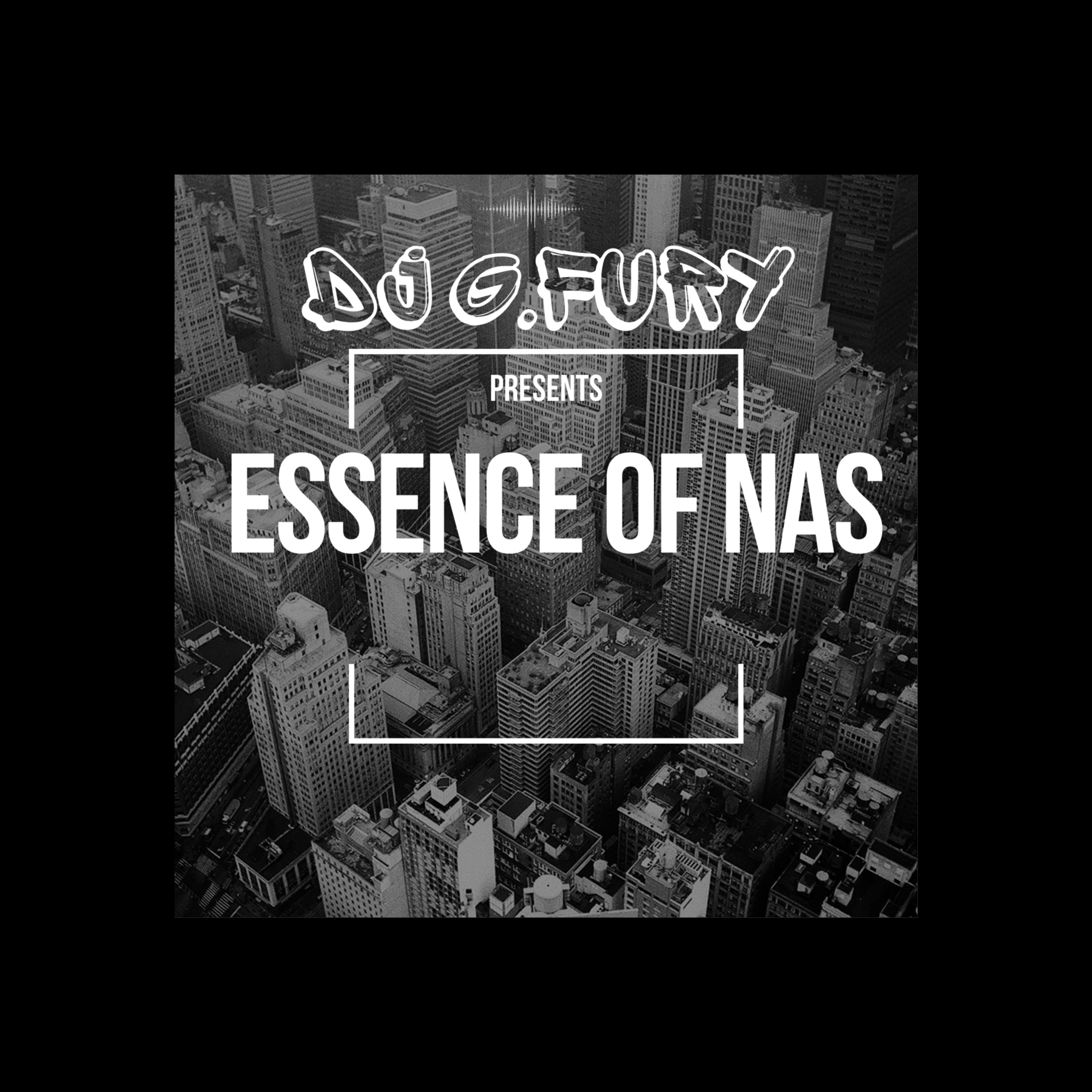Image for Essence Of Nas