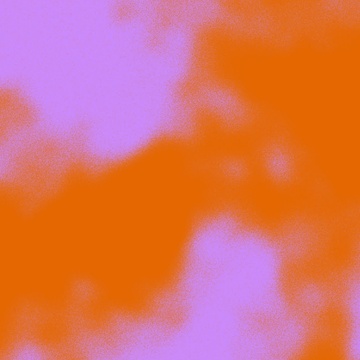 Image for Jewels in the Rough