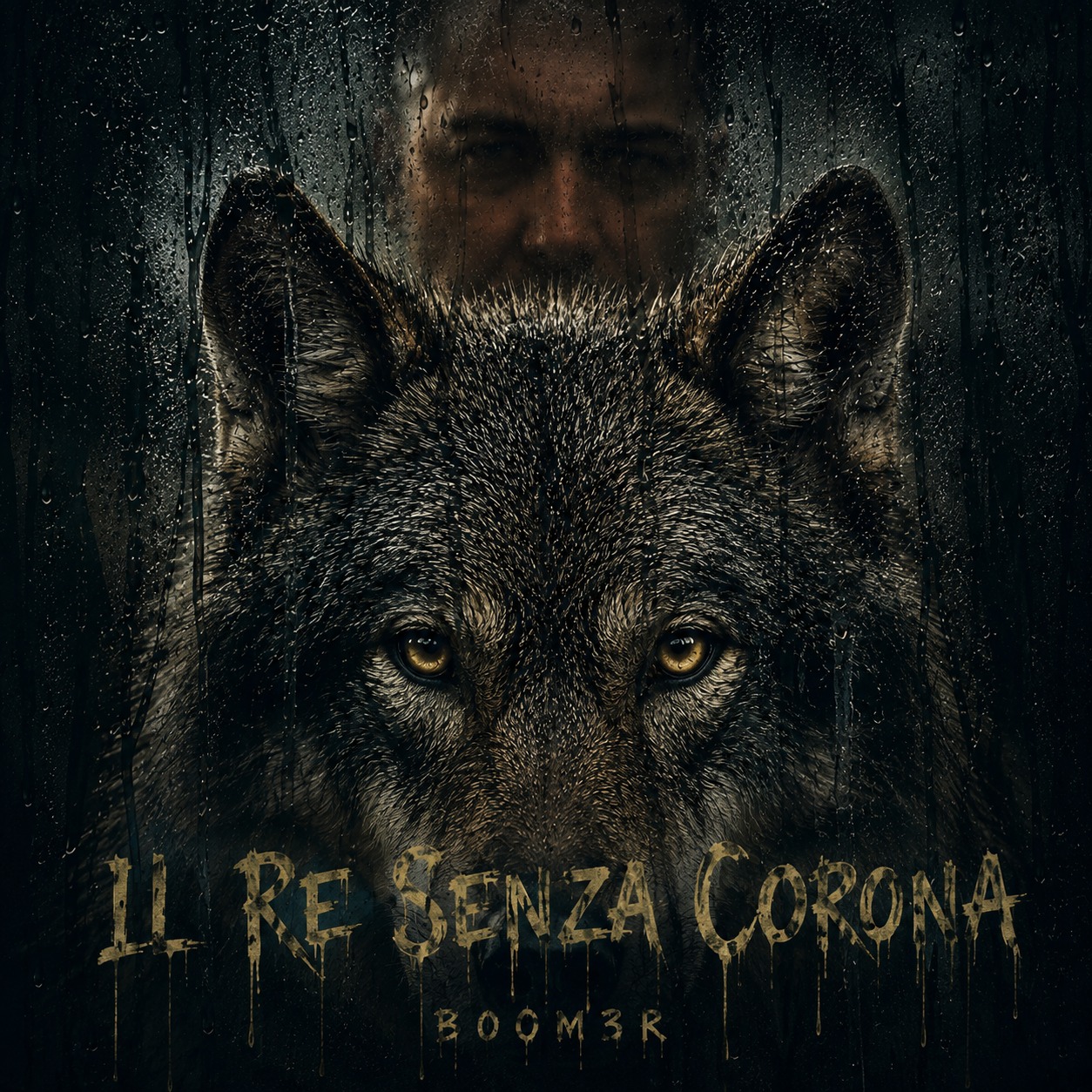 Il Re Senza Corona artwork
