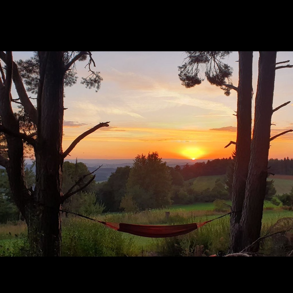 Image for Der einsame Barde🫂