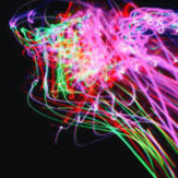 NEON BUIO artwork