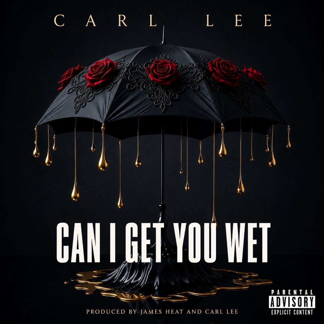 Can I Get You Wet (explicit) artwork