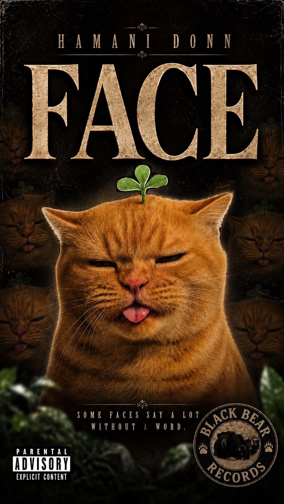 HAMANI DONN - FACE artwork
