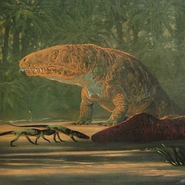 Persona image for Burgersdorp