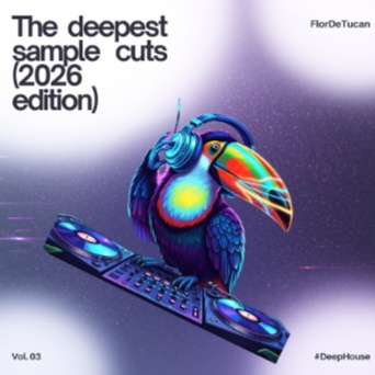 Toucan House Vol. III: The Deepest Sample Cuts (2026 Edition)